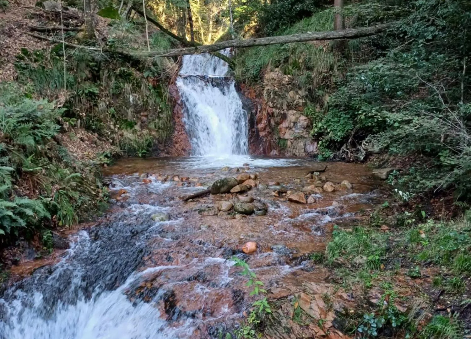 Appartamento Cà di Ruchitt Cuasso Al Monte Italia